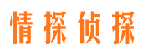 盖州市婚外情调查